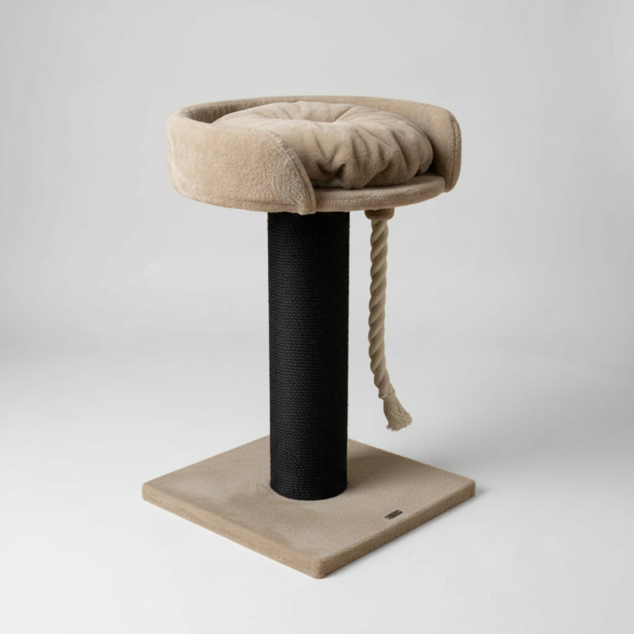 Kraapimispuu ja Lounge Chartreux – Iiris