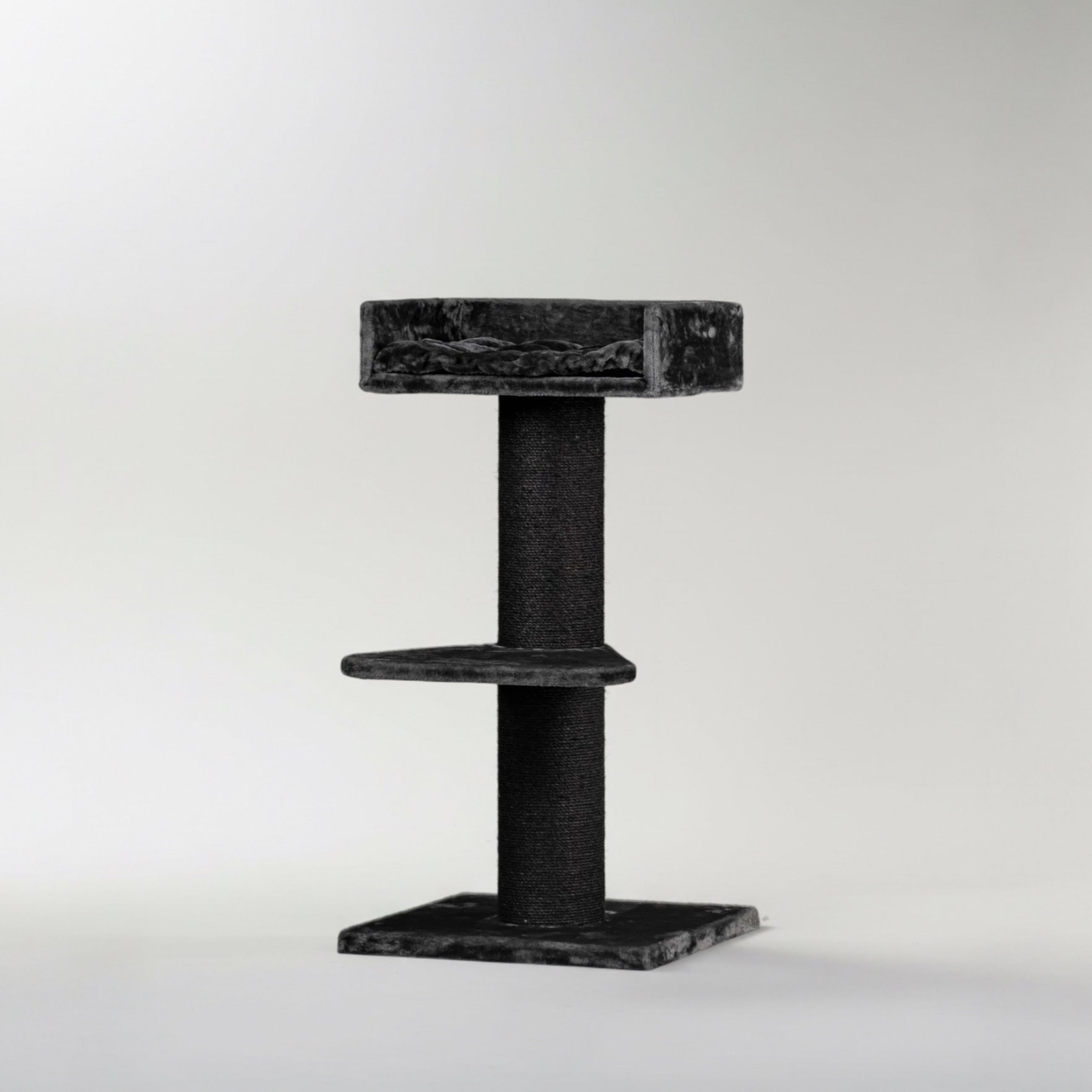 Maine Cooni Puhketorn ja Lounge