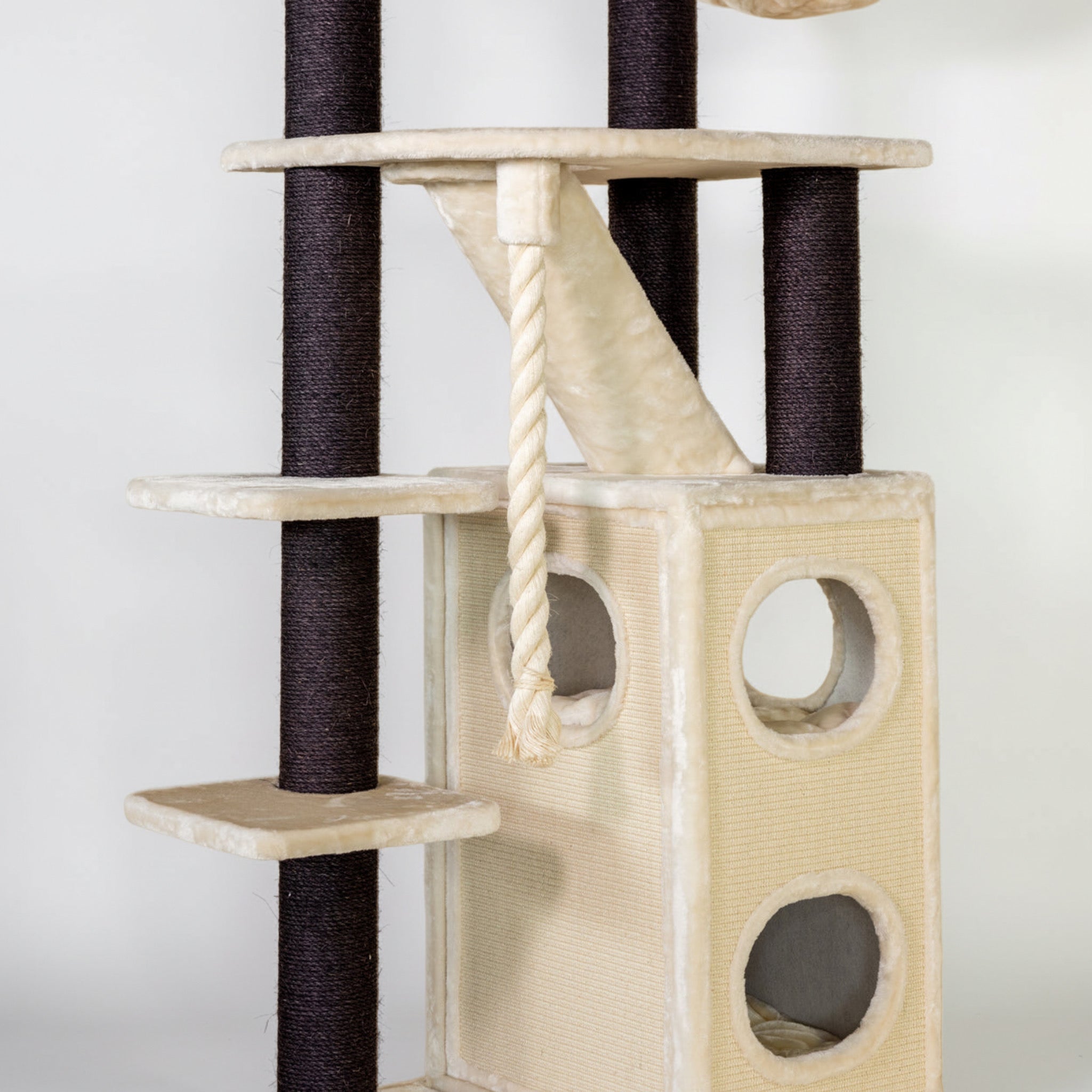 Kraapimispuu Katuskorter