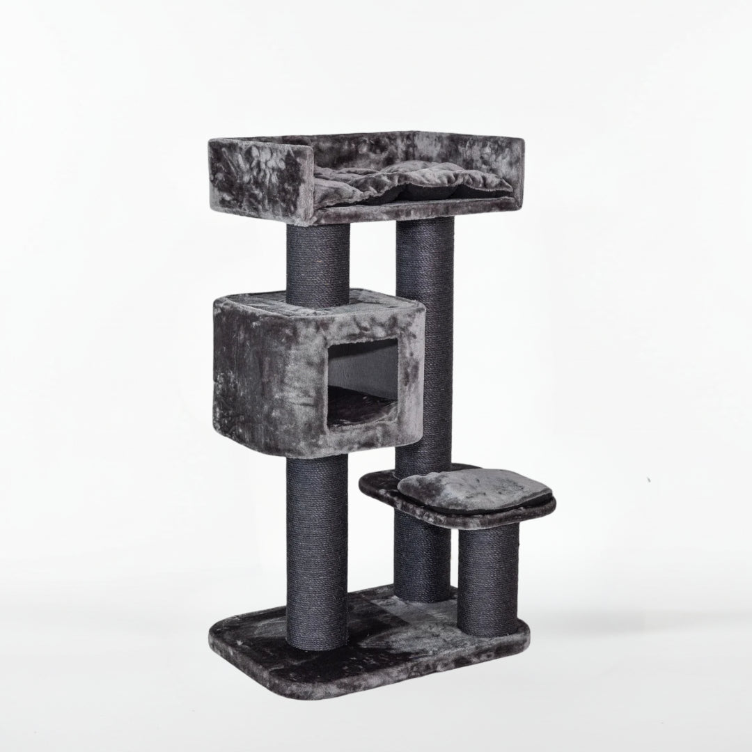 Cat Tree for Large Breeds Devon Rex