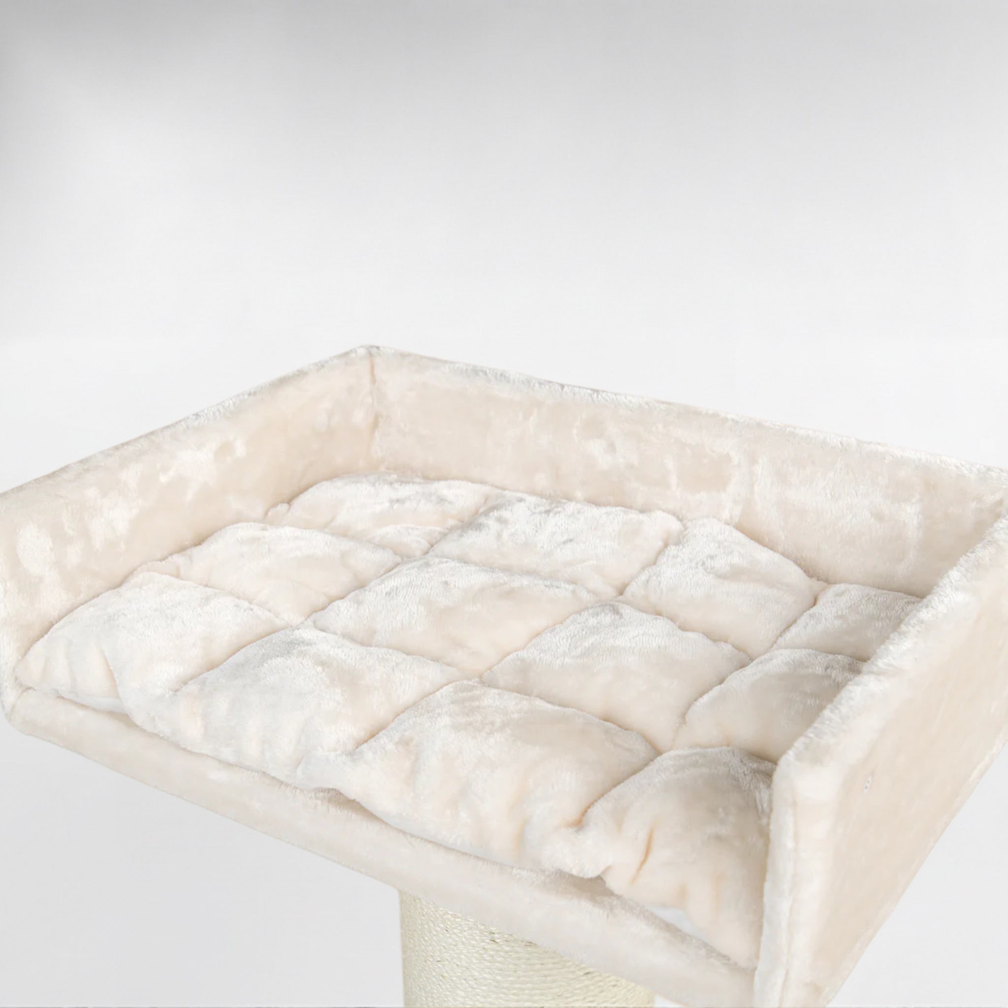 Maine Cooni Puhketorn ja Lounge