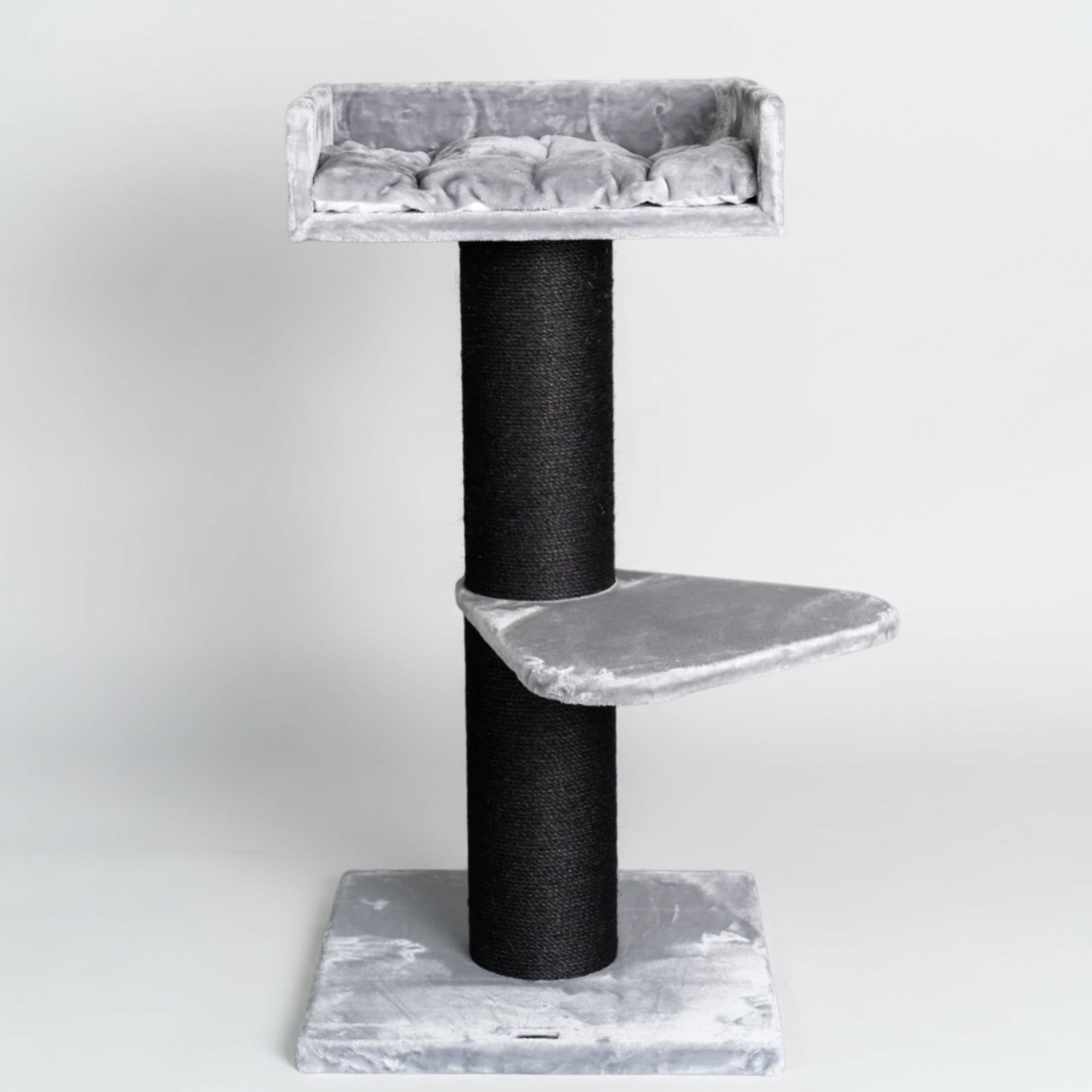 Maine Cooni Puhketorn ja Lounge