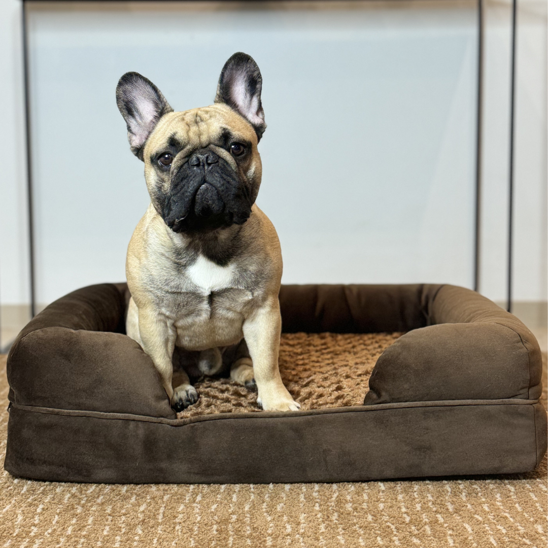 O.Buddy Orthopaedic Dog Bed Brown
