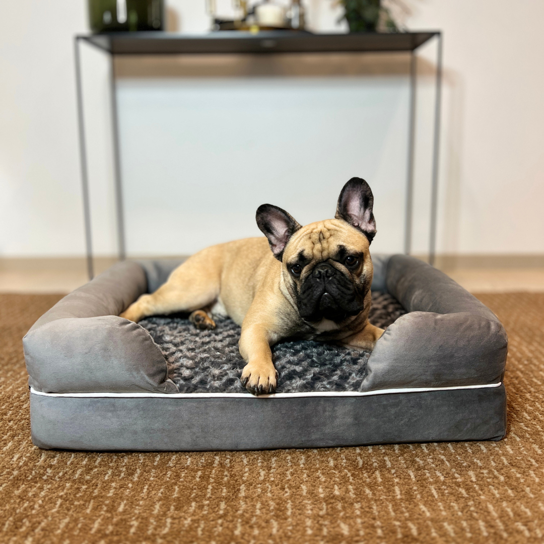 O.Buddy Orthopaedic Dog Bed Gray