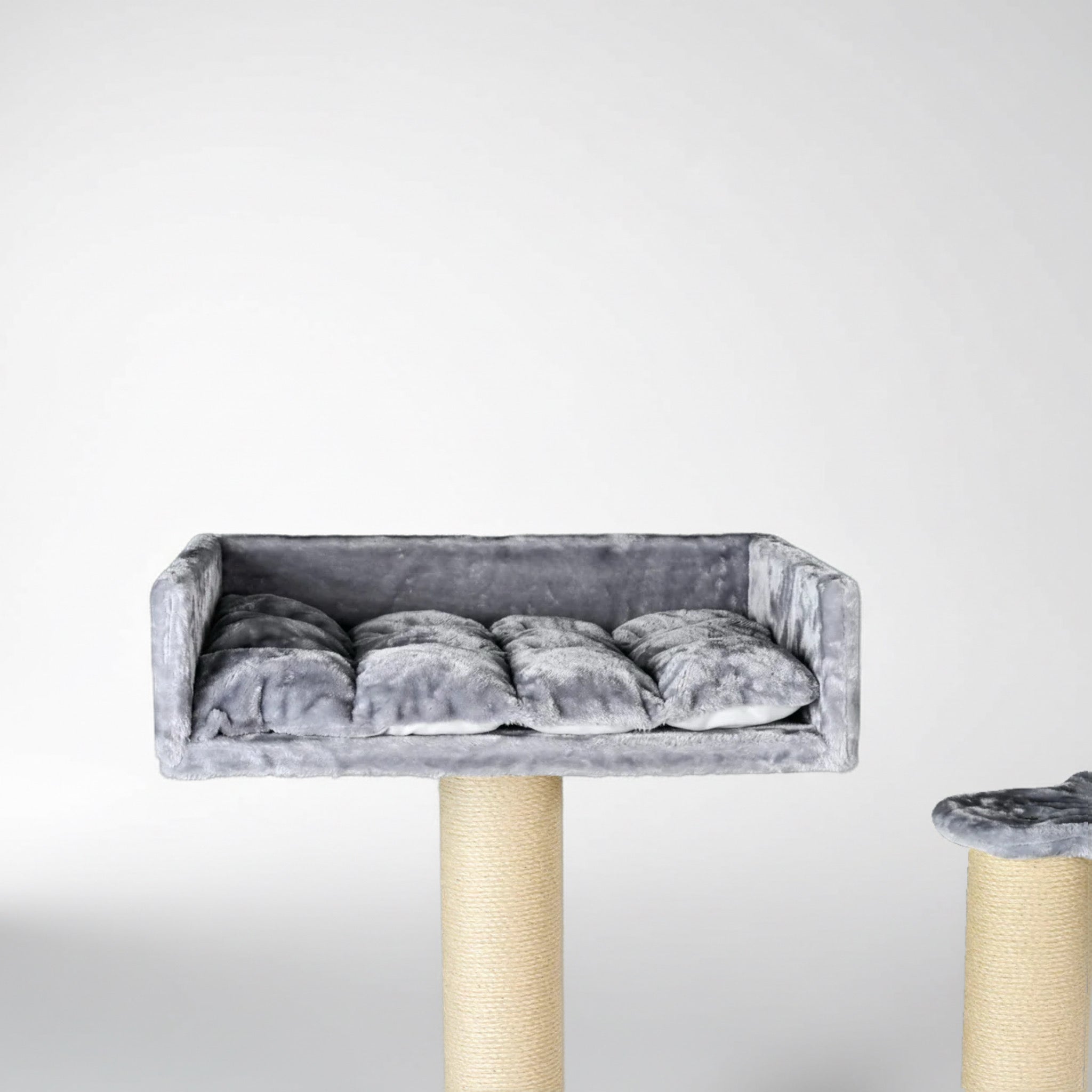 Kraapimispuu Katuskorter