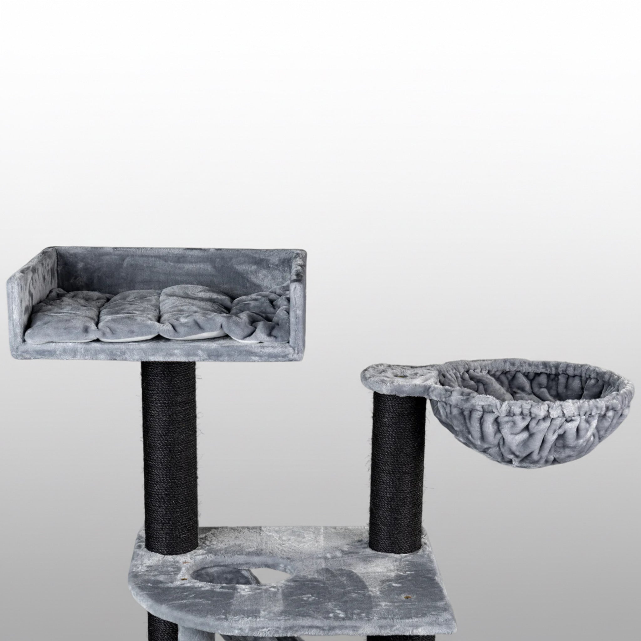 Kraapimispuu Katuskorter