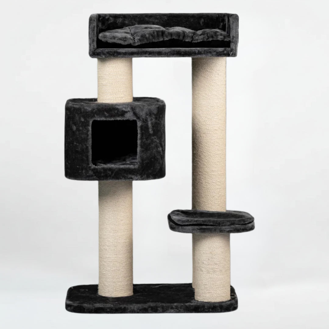 Cat Tree for Large Breeds Devon Rex